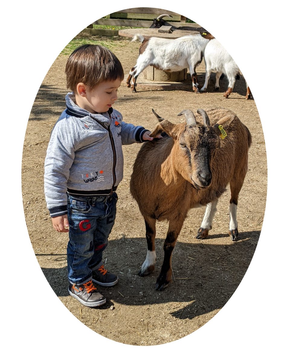 Combien coûte une micro crèche